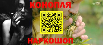 мдпв Славгород