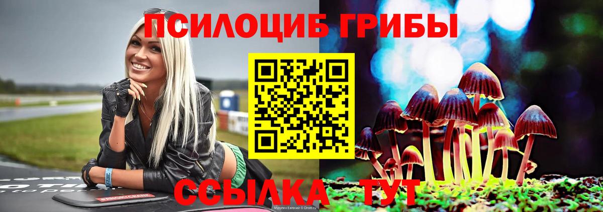 Галлюциногенные грибы ЛСД  Вход с VPN  Пенза 