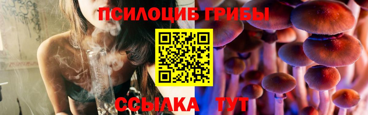 Псилоцибиновые грибы Magic Shrooms Пенза